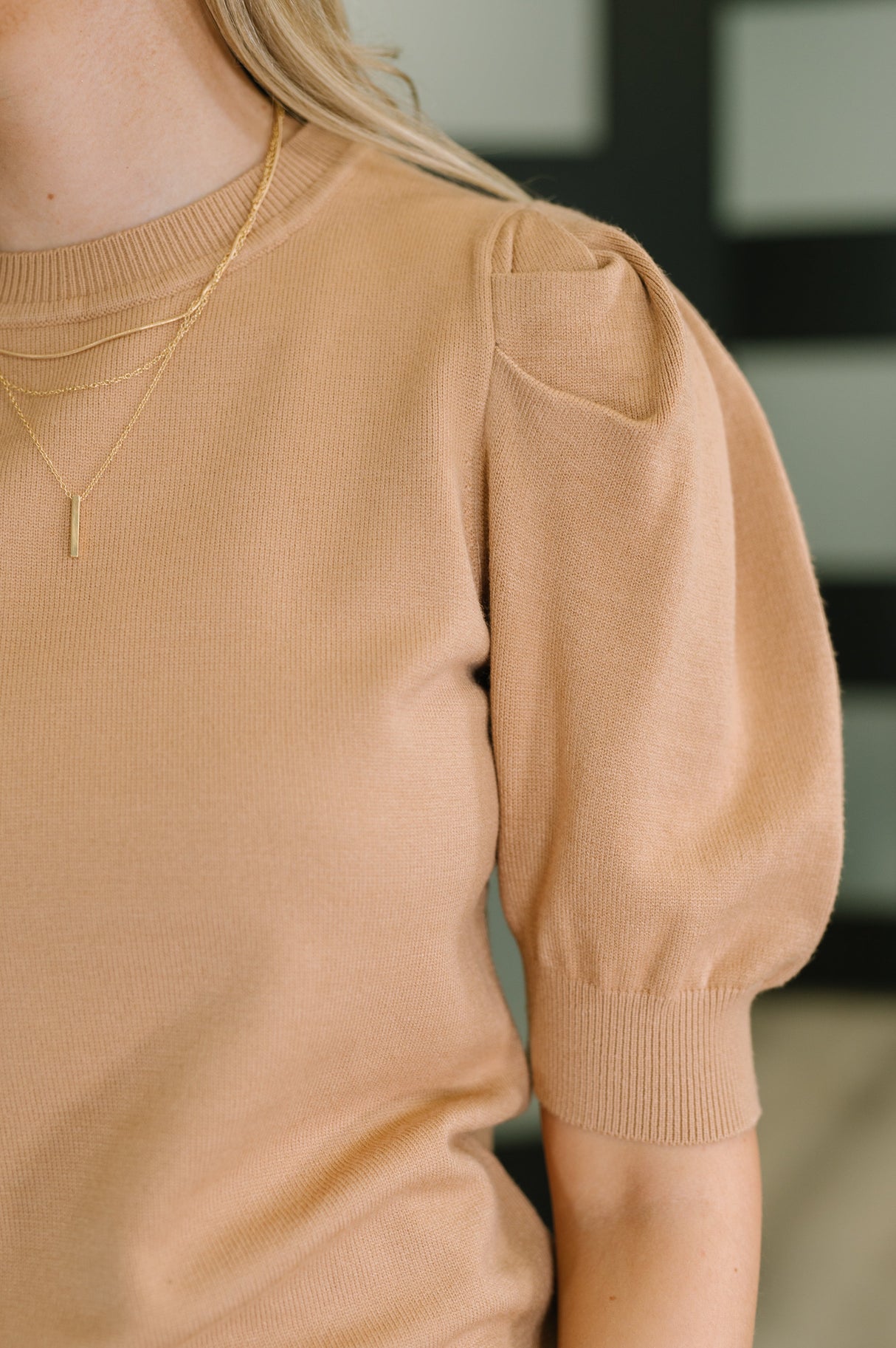 Blusa de manga abullonada de estilo casual y elegante en color cepillado