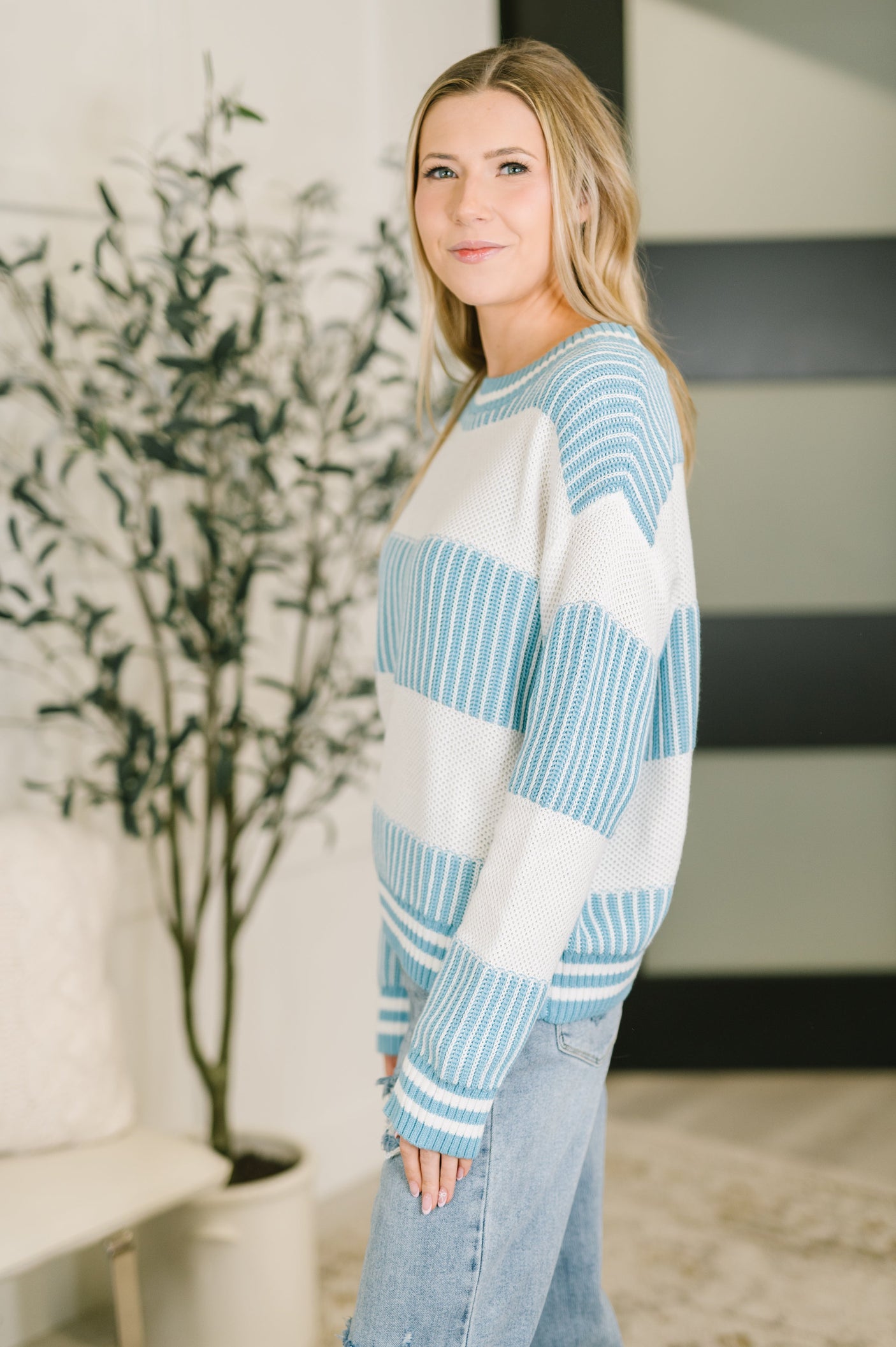 Frosted Snuggle Textured Knit Pullover