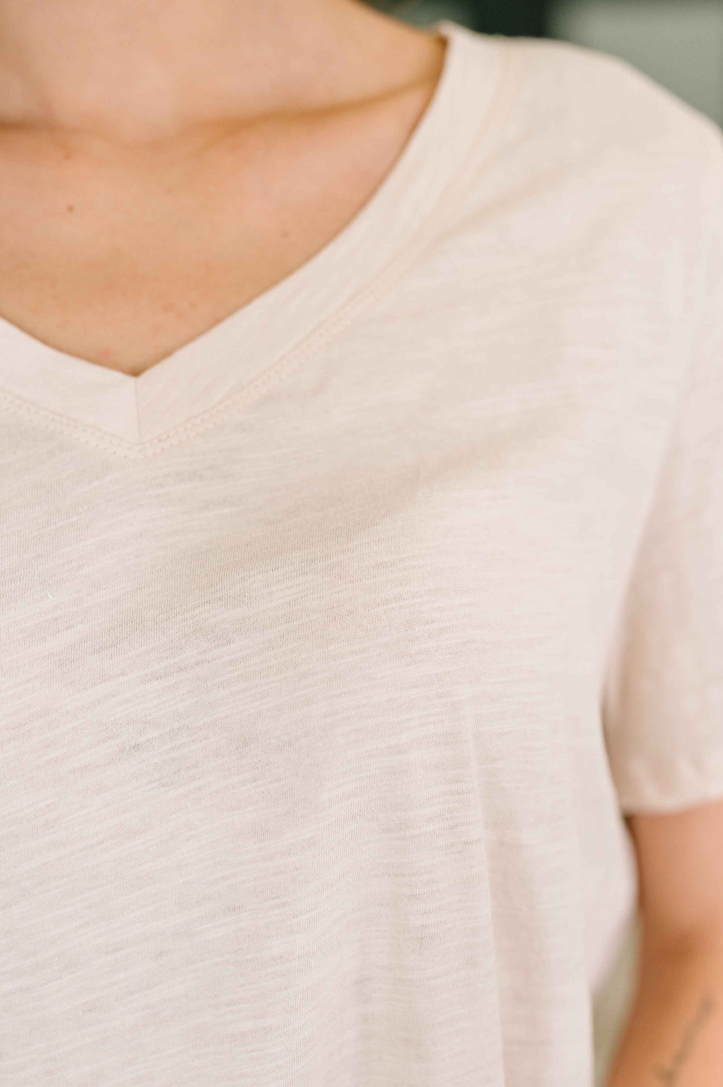 I Don't Have to Choose V-Neck Tee in Oatmeal
