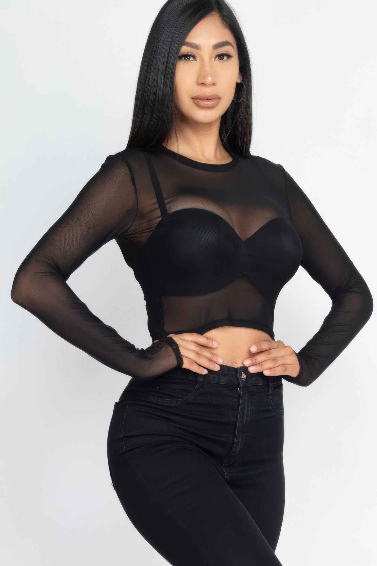Sexy Sheer Mesh Long Sleeve Crop Top