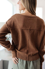 Back to Life V-Neck Sweater in Mocha