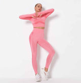 Seamless Long Sleeve Yoga Set
