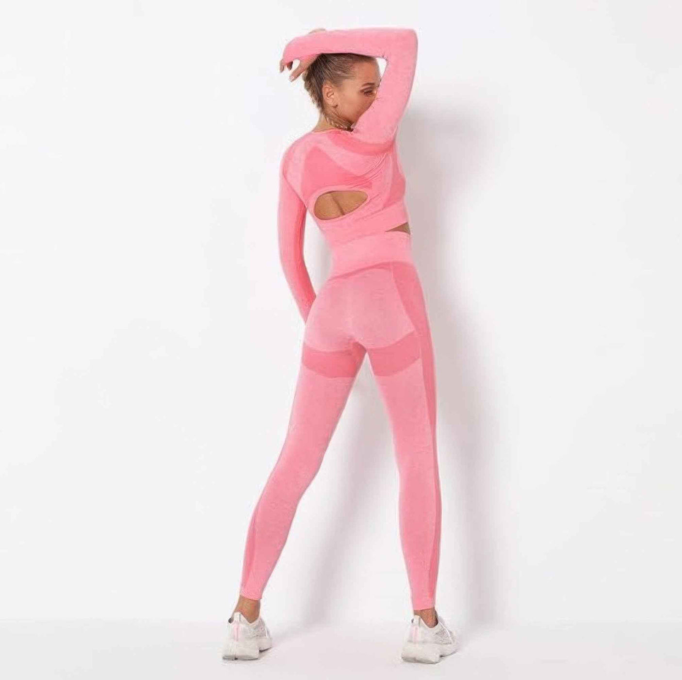 Seamless Long Sleeve Yoga Set