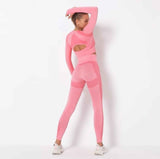 Seamless Long Sleeve Yoga Set