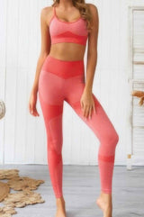 Seamless Activewear Two Piece Set