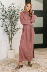 Travel Plush Knit Dress in Autumn Berry