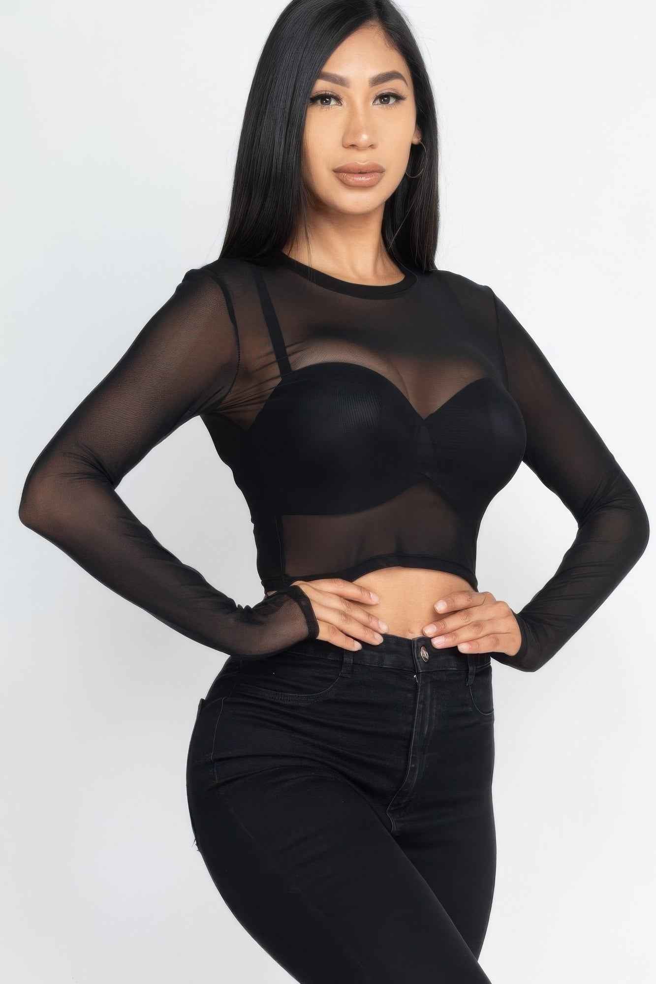 Sexy Sheer Mesh Long Sleeve Crop Top