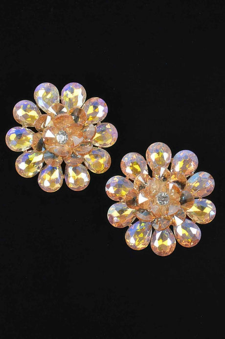 Rhinestone Studded Earring
